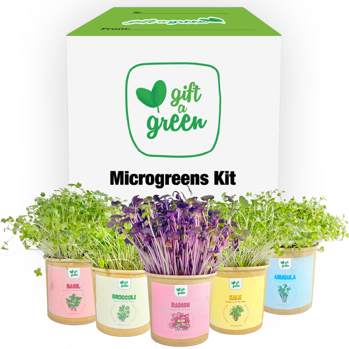 MINI AGRAFEUSE GREENLOGIC 24/6 +400 AGRAFES