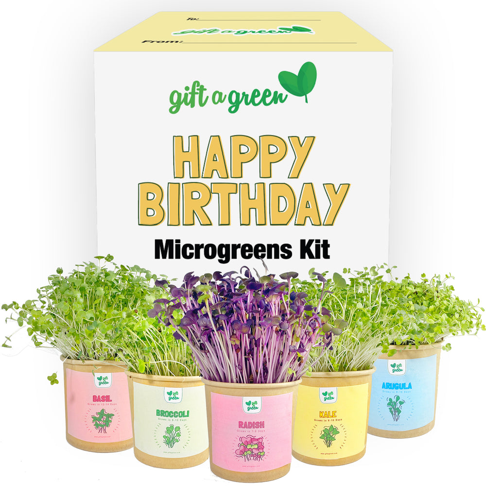 giftagreen Happy Birthday Gift Box