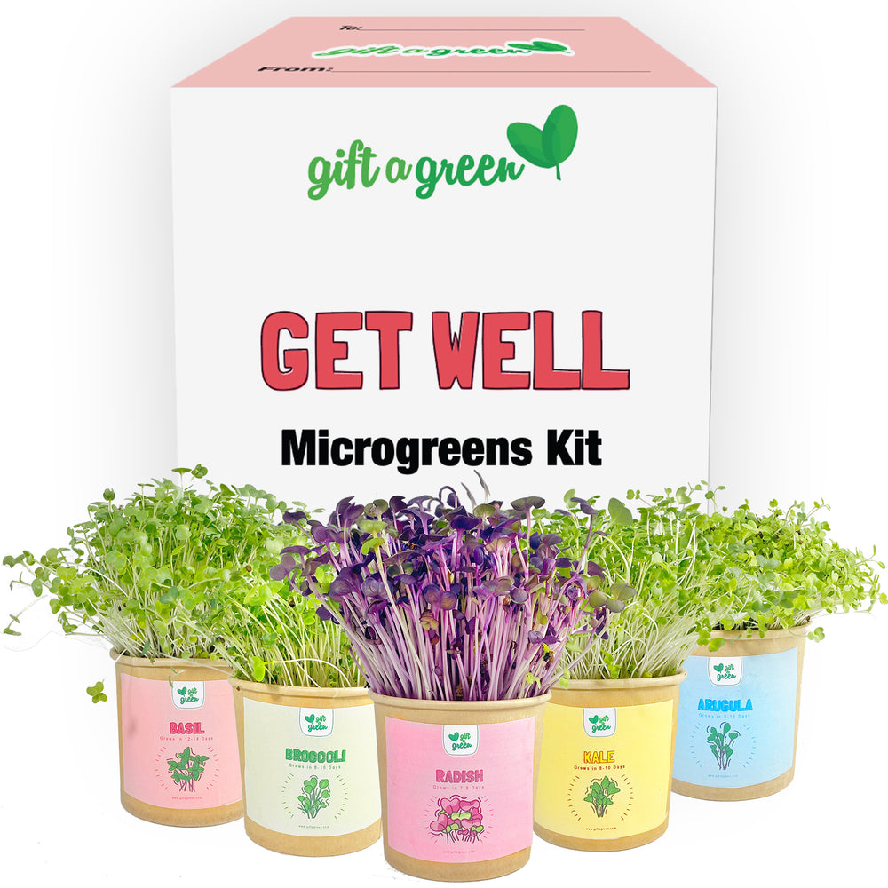 
                  
                    Get Well Gift Box
                  
                