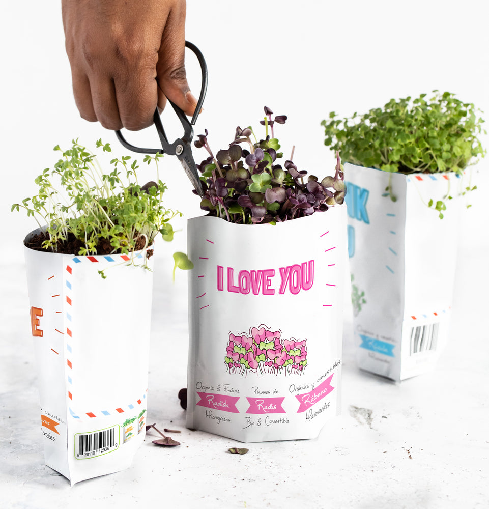 
                  
                    Happy Mother's Day Card | Kale & Arugula Microgreens
                  
                