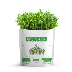 
                  
                    Congrats Card | Dwarf Sugar Peas Microgreens
                  
                