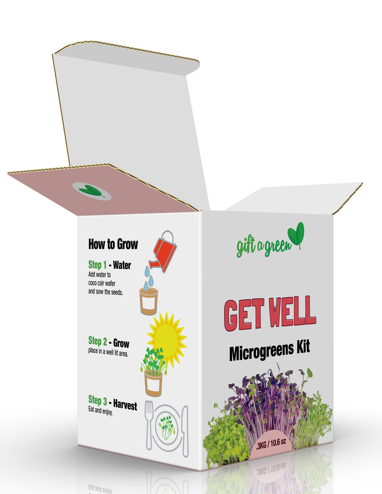 
                  
                    Get Well Gift Box
                  
                