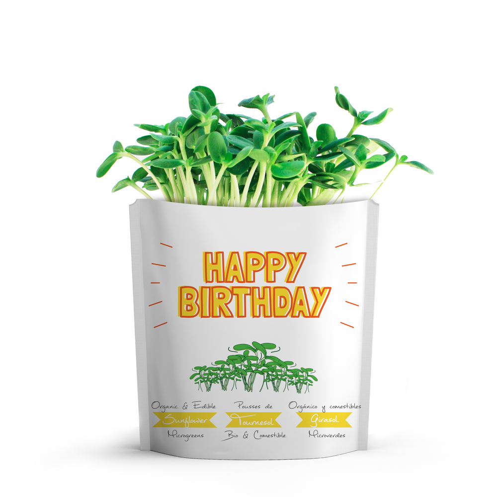 Happy Birthday Card | Sunflower Microgreens