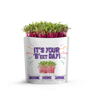 
                  
                    It's Your Beet Day Card | Beet Microgreens
                  
                