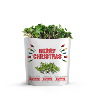 
                  
                    Merry Christmas Card | Kohlrabi Microgreens
                  
                
