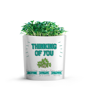 
                  
                    Thinking of You Card | Kale Microgreens
                  
                