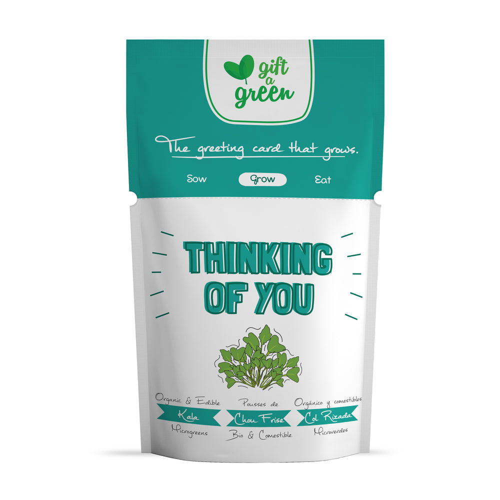 
                  
                    Thinking of You Card | Kale Microgreens
                  
                