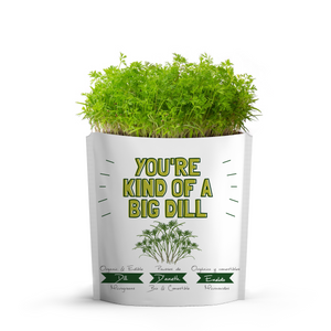 
                  
                    You're Kind of a BIG Dill Card | Dill Microgreens
                  
                